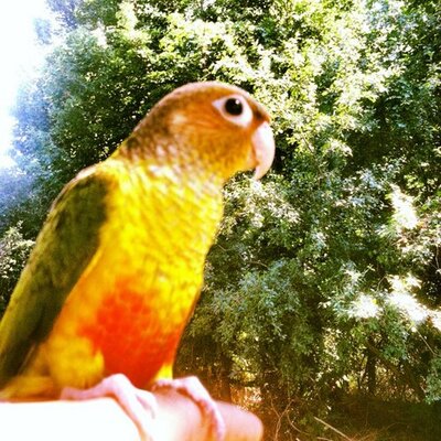 Profile Picture of Pat (@kowalewski2012) on Twitter