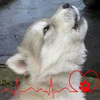 Profile Picture of Frida Kramer (@frida.kramer) on Facebook