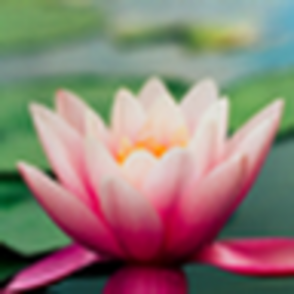 Profile Picture of Elizabeth Macejka (@emac0529) on Poshmark