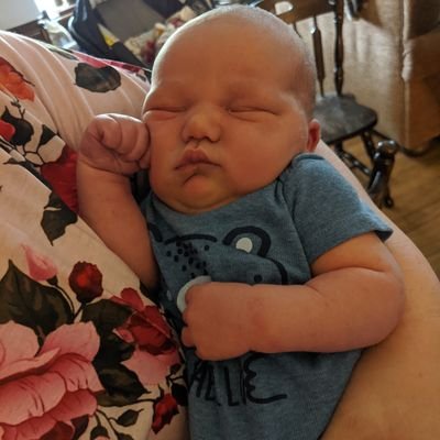 Profile Picture of Em’s Mama 💙 (@Ariel_E_Graham) on Twitter