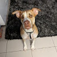 Profile Picture of Nathan Button (@nathan-button-17) on Quora