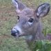 Profile Picture of Jim Parris (@jim.parris.739) on Facebook