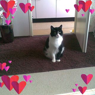 Profile Picture of Corrie Vanderveen (@corrie.vanderveen.338) on Facebook