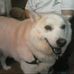 Profile Picture of Joyce Rambo (@Joyce-Rambo) on Facebook