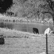 Profile Picture of James Baughman (@jamesbaughman6275) on Youtube