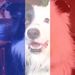 Profile Picture of Adam Greves (@adamgreves) on Pinterest
