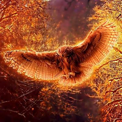 Profile Picture of Anatoly Vasilenko (@phonexicum) on Twitter