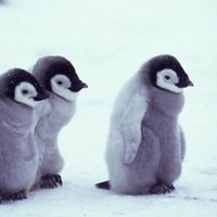 Profile Picture of Isaac Vega (@isaac-vega-1) on Quora