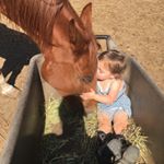 Profile Picture of Marsha Coffey (@mountainriderone) on Instagram