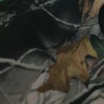 Profile Picture of Shelly Finn (@finn.shelly) on Instagram