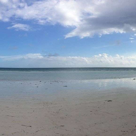 Profile Picture of Nathan Cates (@nathanc03) on Poshmark