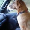 Profile Picture of terryworkman520 (@@terryworkman520) on Tiktok