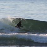 Profile Picture of Peter Cappadona (@peter_cappadona) on Instagram