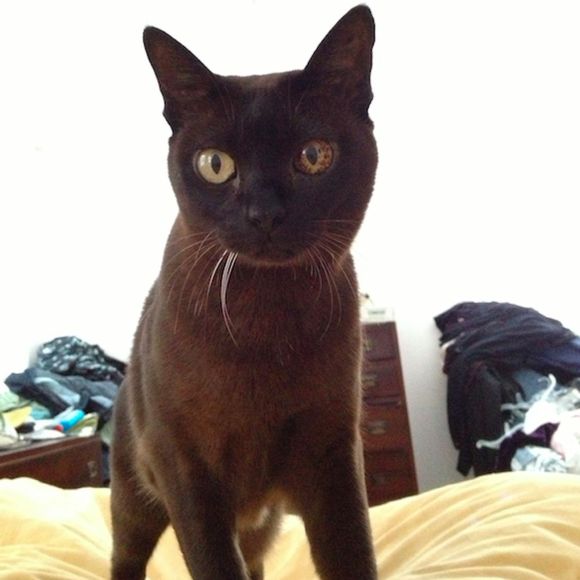 Profile Picture of Rob Phillips (@rjp22) on Poshmark