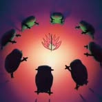 Profile Picture of Rosa Andersen (@Rosa-Andersen) on Facebook