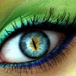 Profile Picture of Larissa Patterson (@Larissa-Patterson) on Facebook