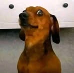 Profile Picture of John Kulick (@john.kulick.23330) on Facebook