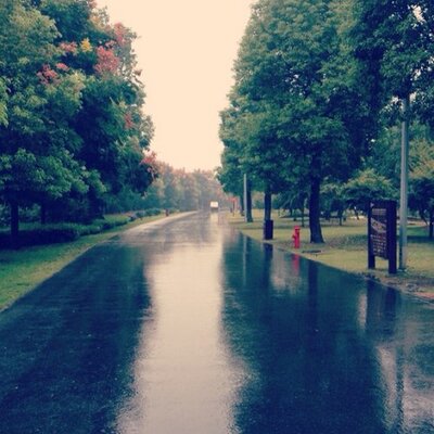 Profile Picture of SCOTT YANG (@yangrenqiang) on Twitter