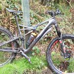 Profile Picture of Brian Lydon (@brian.lydon) on Instagram