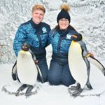 Profile Picture of Olivia-Jayne Curtis (@liv_curtis98) on Instagram