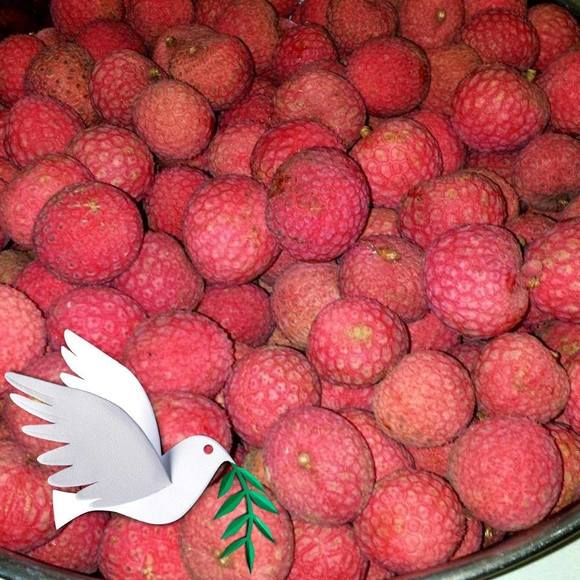 Profile Picture of Sun Cho lee (@lologirl01) on Poshmark