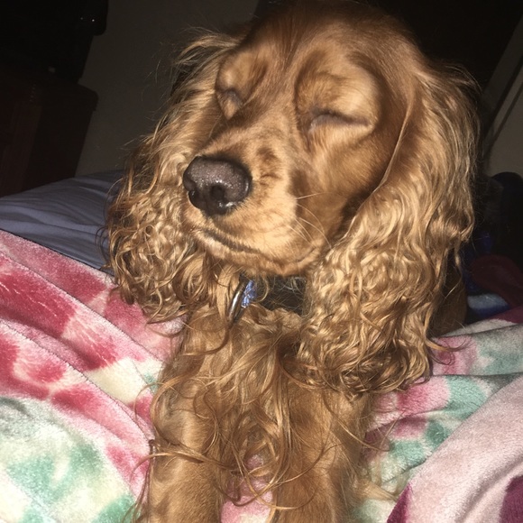 Michael Mac - Poshmark Profile Picture of Michael Mac (@michaelmaca) on Poshmark