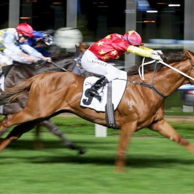 Profile Picture of Michael Teo 张 (@miketeo2000) on Twitter