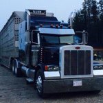 Profile Picture of Jacob Penner (@trucker_jake) on Instagram