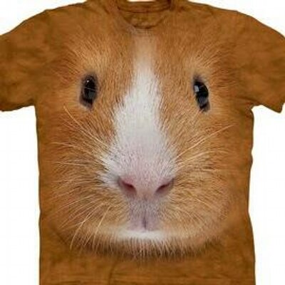 Profile Picture of Lesley Woolner (@leewoo1961) on Twitter