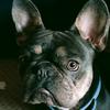 Profile Picture of Jim Fryer (@@jimfryer) on Tiktok