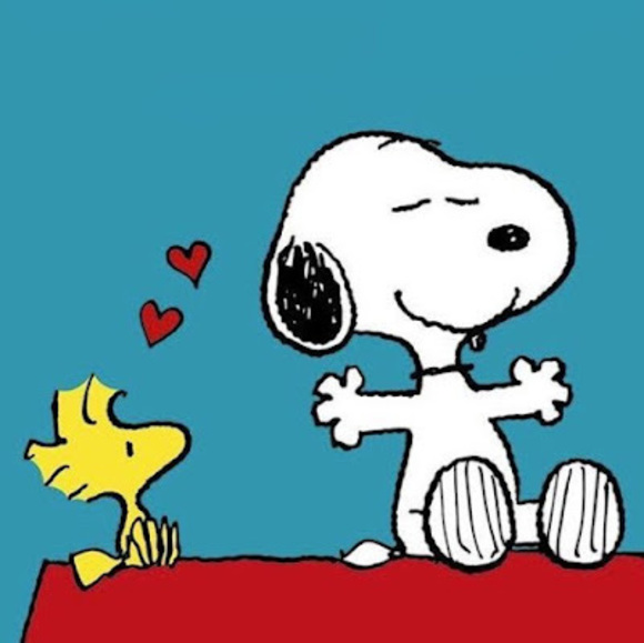 Profile Picture of Rose-gabrielle Baaklini (@roro535) on Poshmark