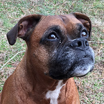 Profile Picture of Nick And Arica Webb (@nawbb) on Flickr