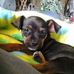 Profile Picture of Floyd Counterman (@floyd.counterman) on Facebook