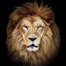 Profile Picture of bich dinh (@bichthuan0307) on Pinterest
