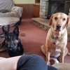 Profile Picture of Cheryl Keefer (@@2180460792) on Tiktok