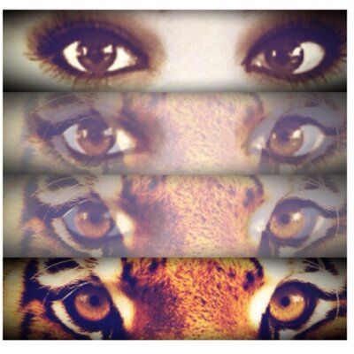 Profile Picture of Deborah Tapia Cahill (@cahill_debbie) on Twitter