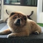Profile Picture of ‘Green Plant’ (@jeechung) on Instagram