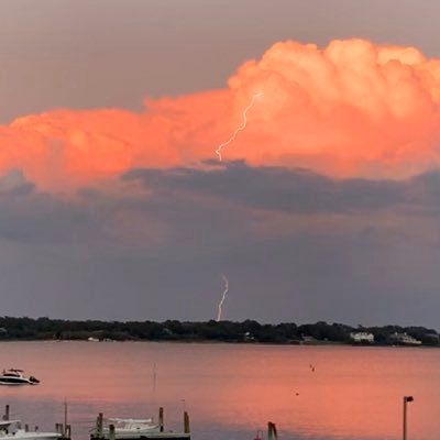 Profile Picture of John Fichthorn (@squirrelburger) on Twitter