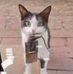 Profile Picture of Bruno Tomasi (@bruno.tomasi.73) on Facebook