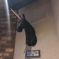 Profile Picture of Jody Ladd (@jody-ladd-1) on Quora