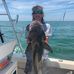 Profile Picture of Joe Schneider (@joe.schneider.5811877) on Facebook