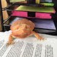 Profile Picture of Maureen Maney (@maureen-maney-1) on Quora