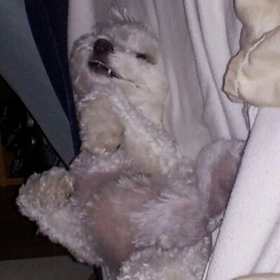 Profile Picture of Ruby Loyd (@Rmloyd1218Ruby) on Twitter