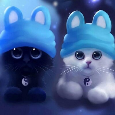 Profile Picture of Sara Oshroq Laban (@saraoshroqlaban) on Twitter