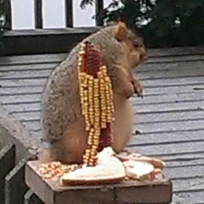 Profile Picture of Kevin Dinius (@purdueka) on Twitter