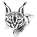 Profile Picture of Javier Manzano (@taxidermia manzano) on Flickr