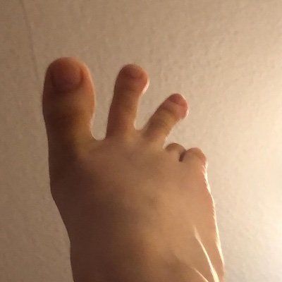 Profile Picture of Jackie Hahn (@Jackiehahn20) on Twitter