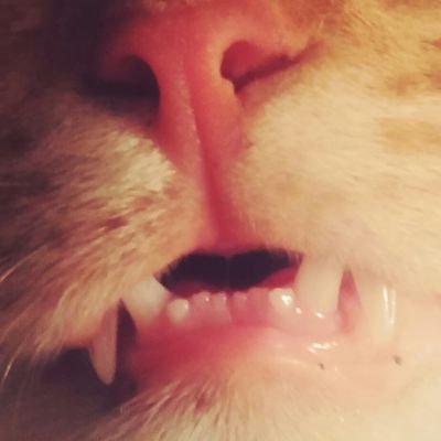 Profile Picture of Dave E Doff (@DaveEDoff73) on Twitter