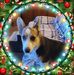 Profile Picture of Sylvia Schultz (Sylvia Longnecker Schultz) (@sylvia.schultz.56) on Facebook