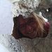 Profile Picture of Patrizia Wiedenmann (@patrizia.wiedenmann.1) on Facebook